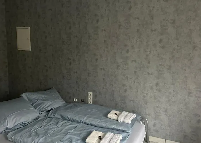 Modern 2-room With Large Kitchen * פפונגשטאט